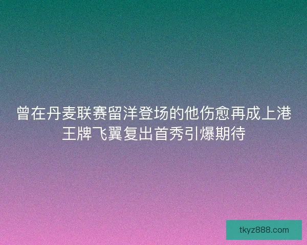 曾在丹麦联赛留洋登场的他伤愈再成上港王牌飞翼复出首秀引爆期待 曾在丹麦联赛留洋登场的他伤愈再成上港王牌飞翼复出首秀引爆期待